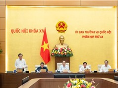 Ủy ban Thường vụ Quốc hội cho ý kiến về dự án Luật KH, CN & ĐMST